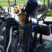 Golf Tournament